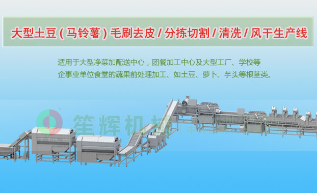 麻栗坡连续式土豆去皮清洗切割风干生产线